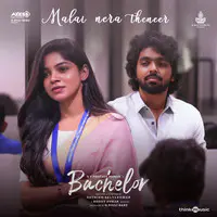 Kavan Song Lyrics