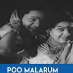 Poo Malarum Velaiyile