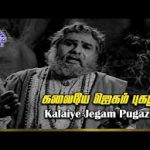 Kalaiye Jegam Song