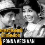 Ponne Vachaan Song